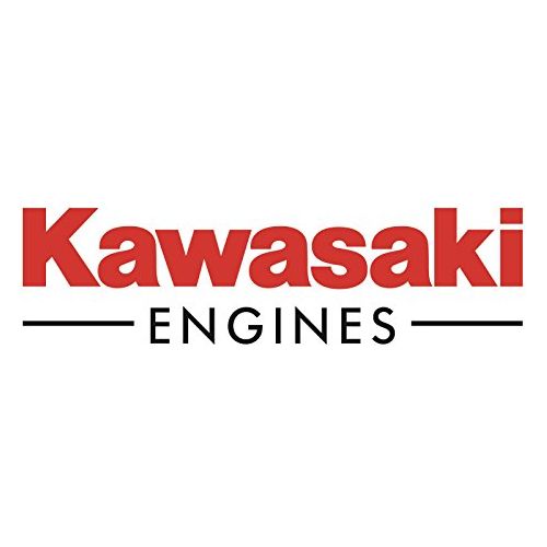 Kawasaki OEM 2 paquetes de 11029-0049 FILTRO DE AIRE DE CONJUNTO DE ELEMENTO