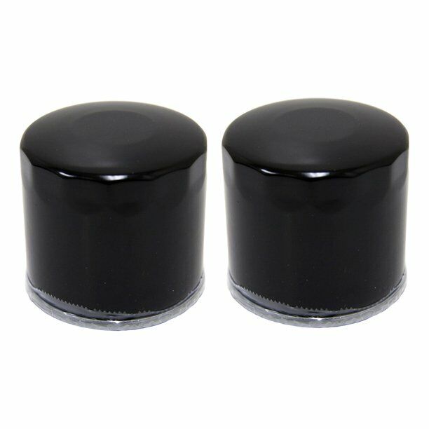 2 Pack of Rotary OIL FILTER Compatible with : 692513, 490-201-0001,  1323,  70185, AM101054, AM105172